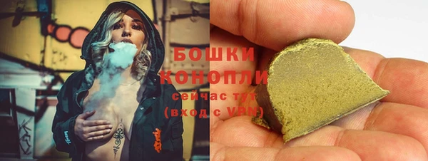 прущие грибы Покров