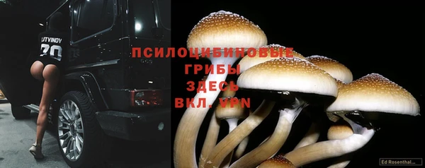 ALPHA PVP Покачи