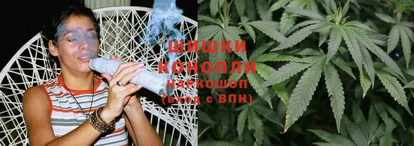 прущие грибы Покров