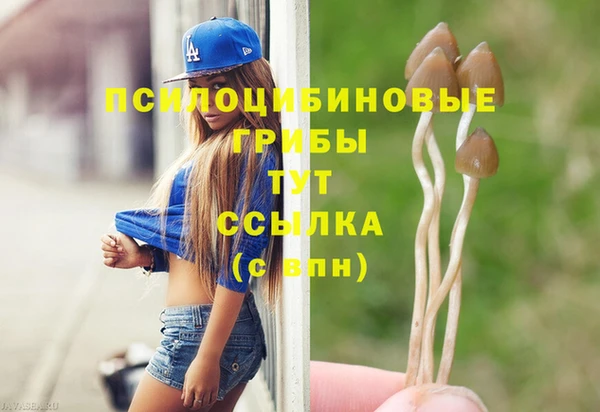 метадон Богородицк