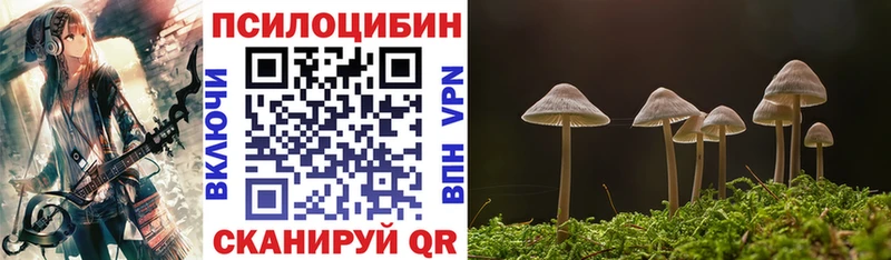 Галлюциногенные грибы Magic Shrooms  Яранск 